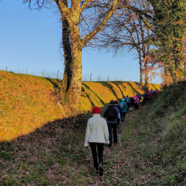 Rando du jeudi février 2020