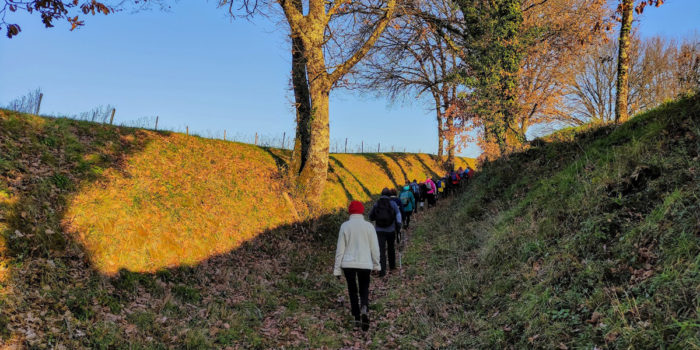 Rando du jeudi février 2020