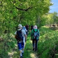 Rando du jeudi avril 2020