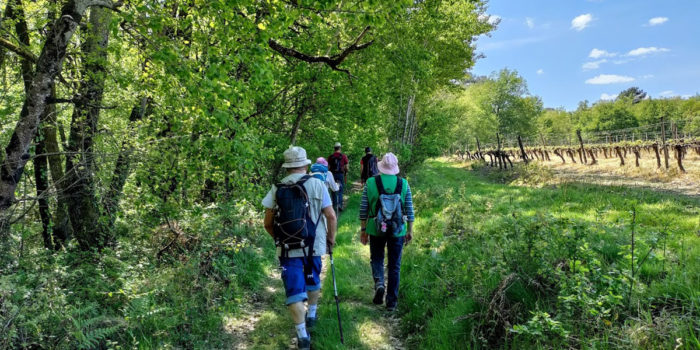 Rando du jeudi avril 2020