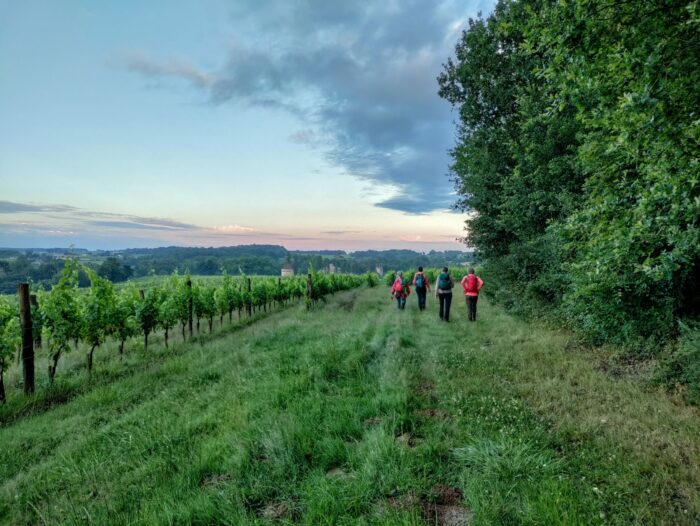 St Félix-de-Foncaude
