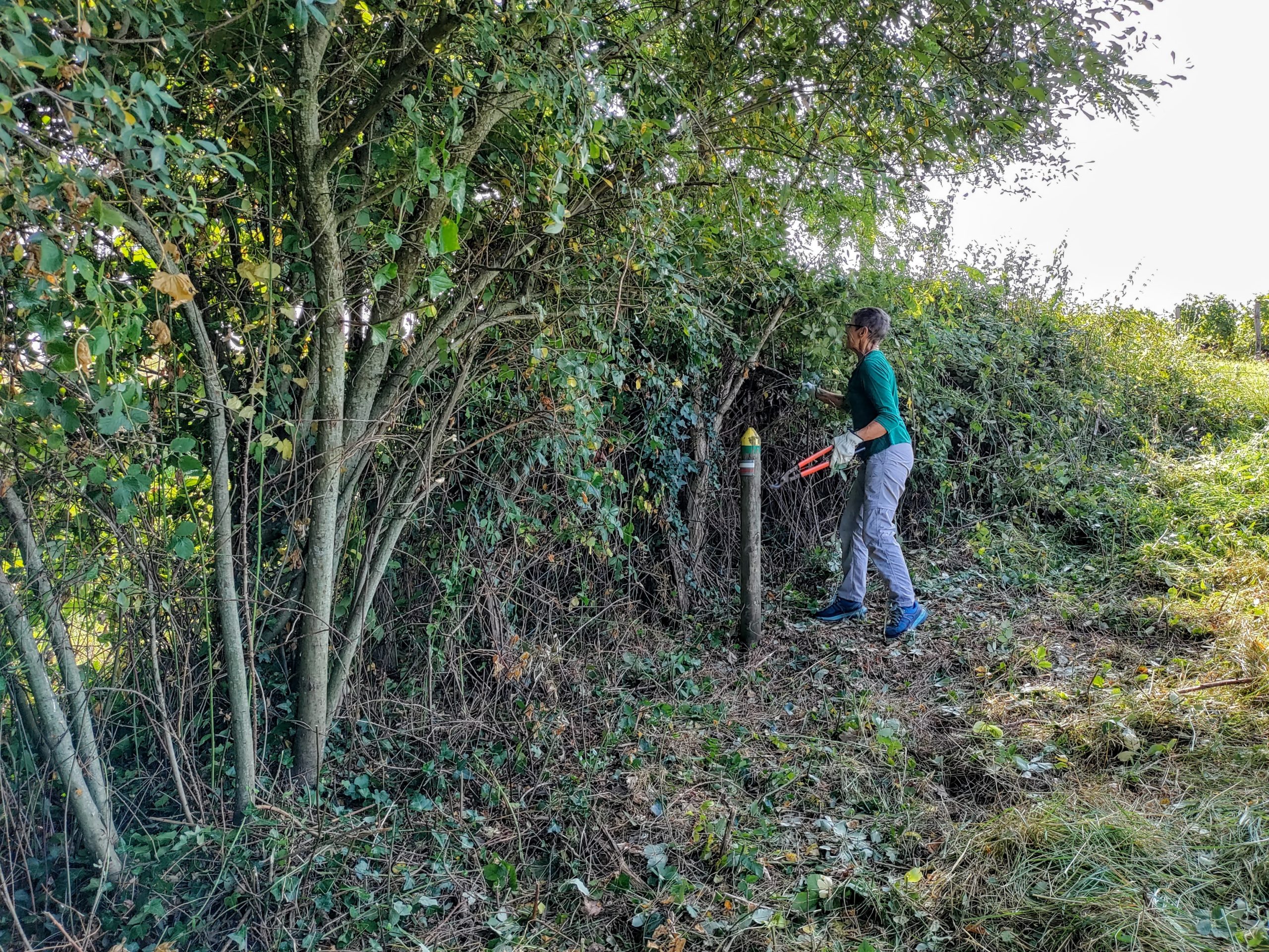 En plein tavail Nettoyage GR6