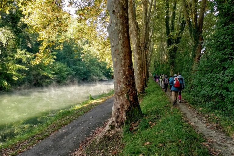 Brouillard sur canal