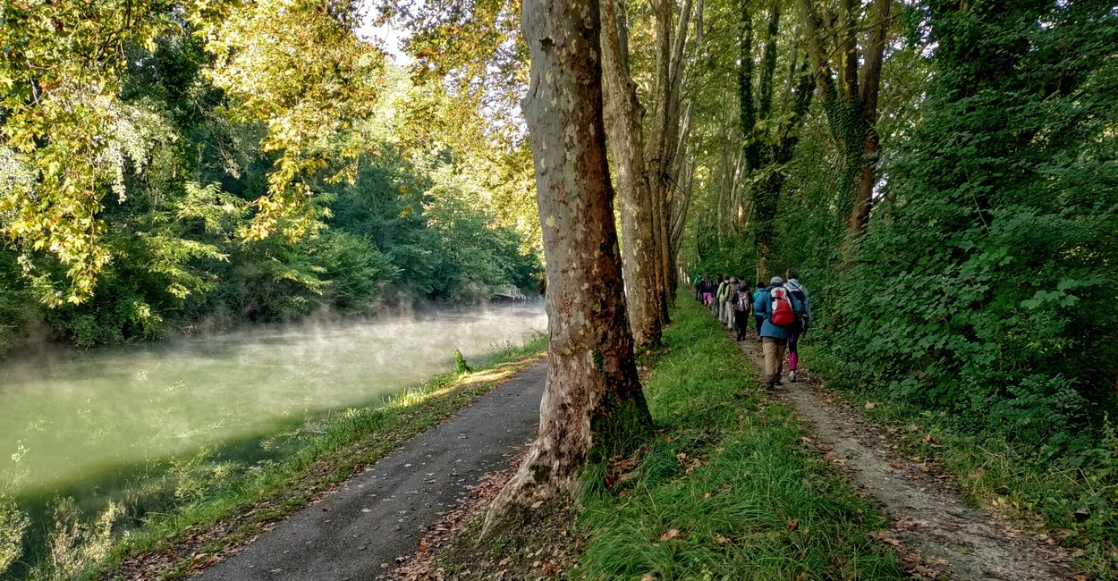 Brouillard sur canal