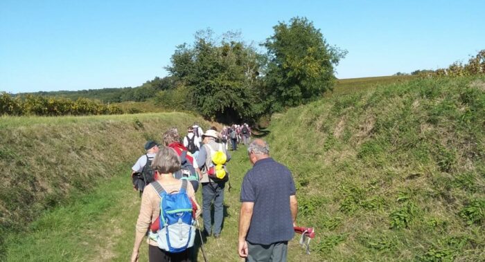 Chemin creux moyenne randonnée Mongauzy3
