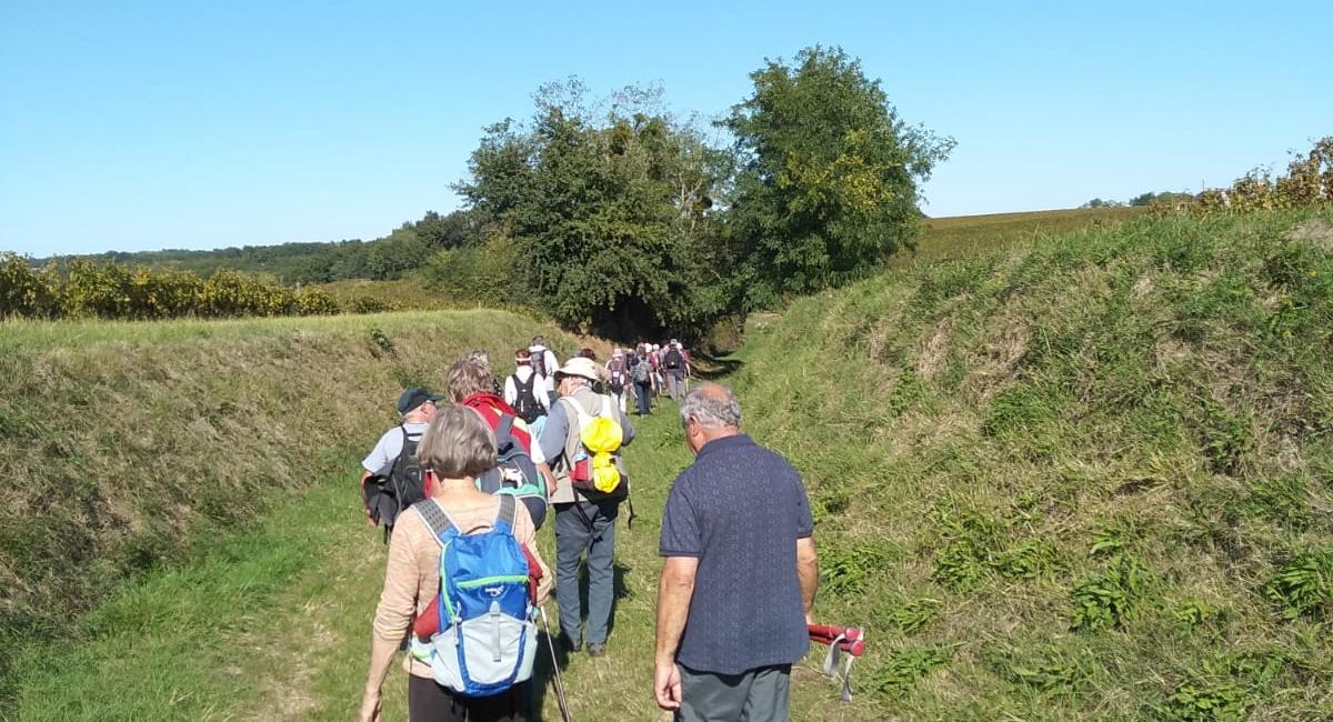 Chemin creux moyenne randonnée Mongauzy3
