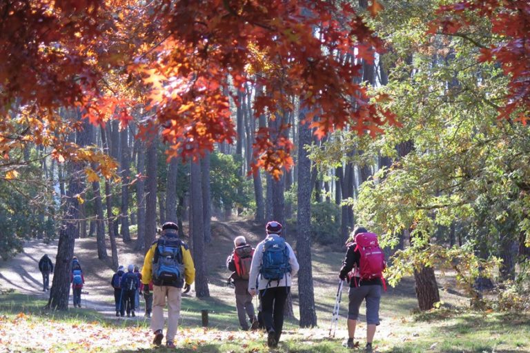 Rando Dimanche Casteljaloux 24 octobre sous le soleil d’automne Rando Dimanche Casteljaloux