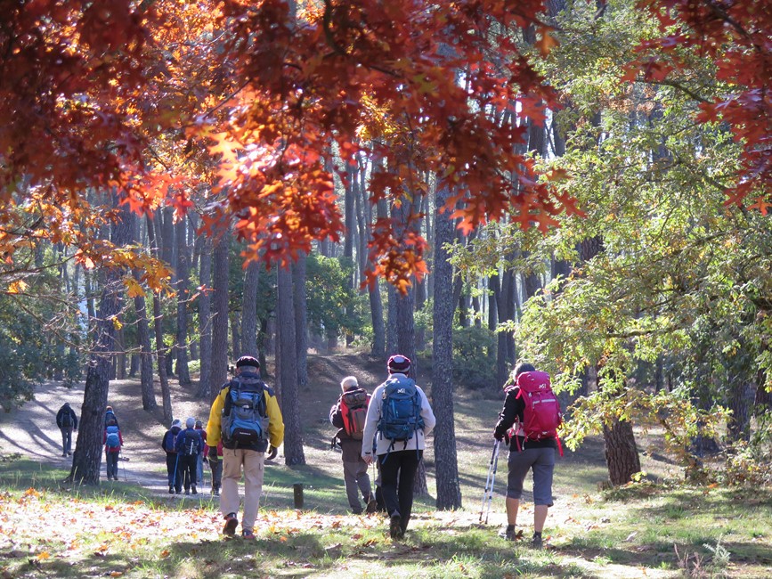 Rando Dimanche Casteljaloux 24 octobre sous le soleil d’automne Rando Dimanche Casteljaloux