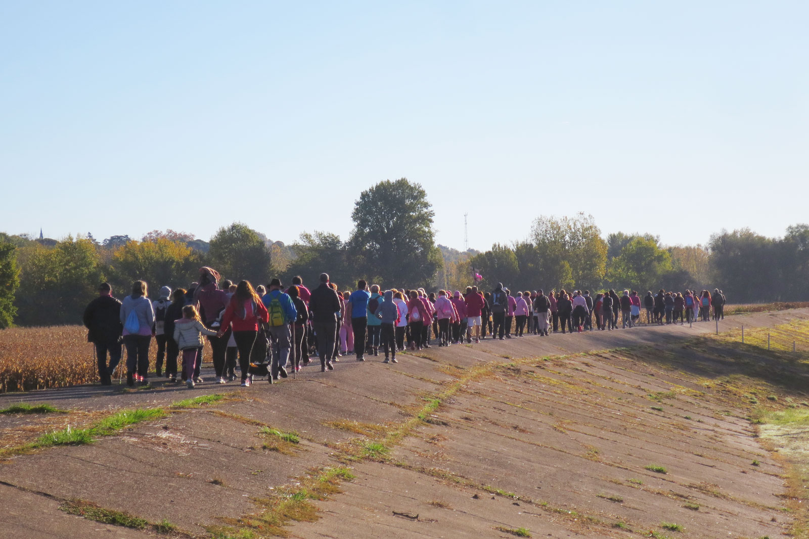 Marche Rose 22 octobre Actualités marche Rose 22 octobre