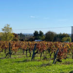 Moyenne rando Jeudi Saint-Pierre d'Aurillac