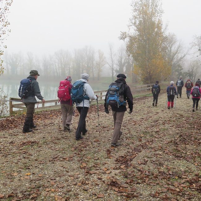 Etang des 9 fontaines à Neuffons