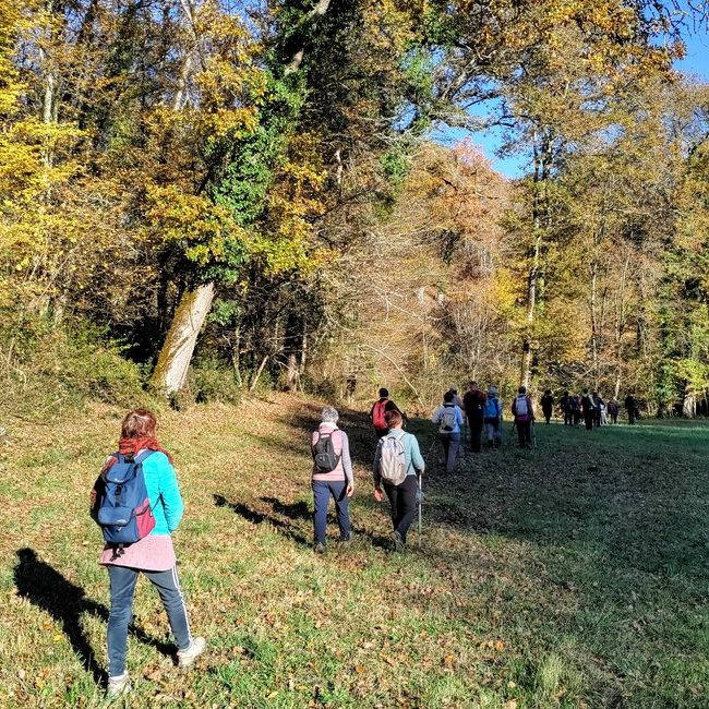 Prairie couleurs d'automne