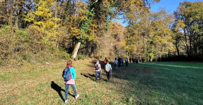 Prairie couleurs d'automne