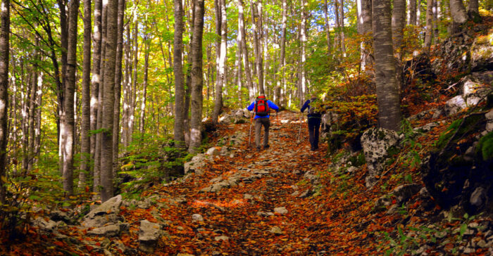 Actualités marche nordique
