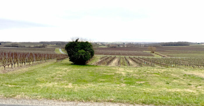 Actualités rando santé