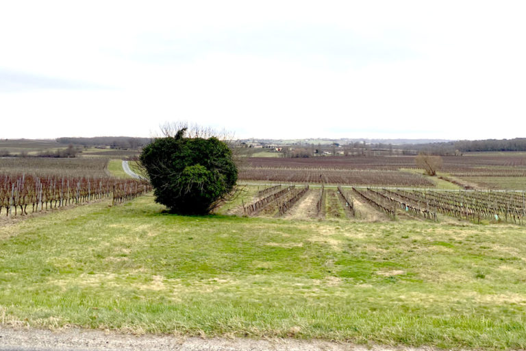 Actualités rando santé