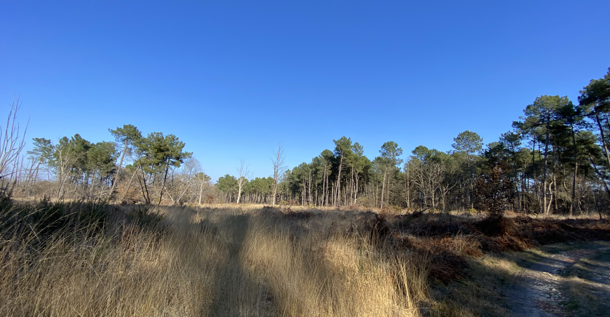 -dimanche-6-mars-savignac Rando Dimanche