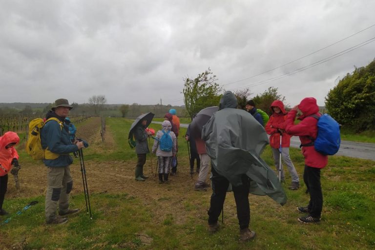 Vent et pluie
