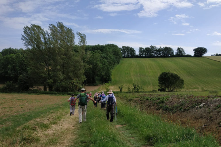 rando dimanche Levignac de Guyennesur les chemins Rando dimanche 14 mai Levignac de Guyenne