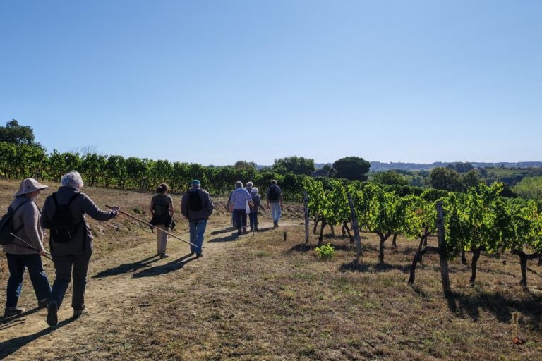 St Laurent du Plan chemin