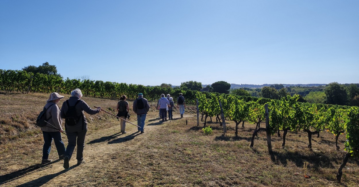 St Laurent du Plan chemin St Laurent du Plan chemin