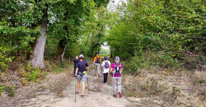 St Hilaire MN grands chênes