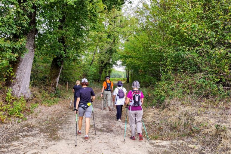 St Hilaire MN grands chênes