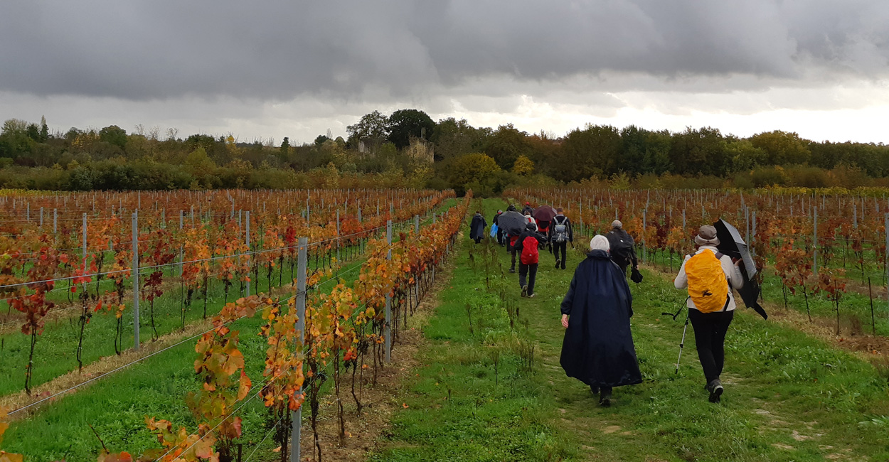 commanderie-en-vue-rando-dimanche-frontenac actu rando dimanche
