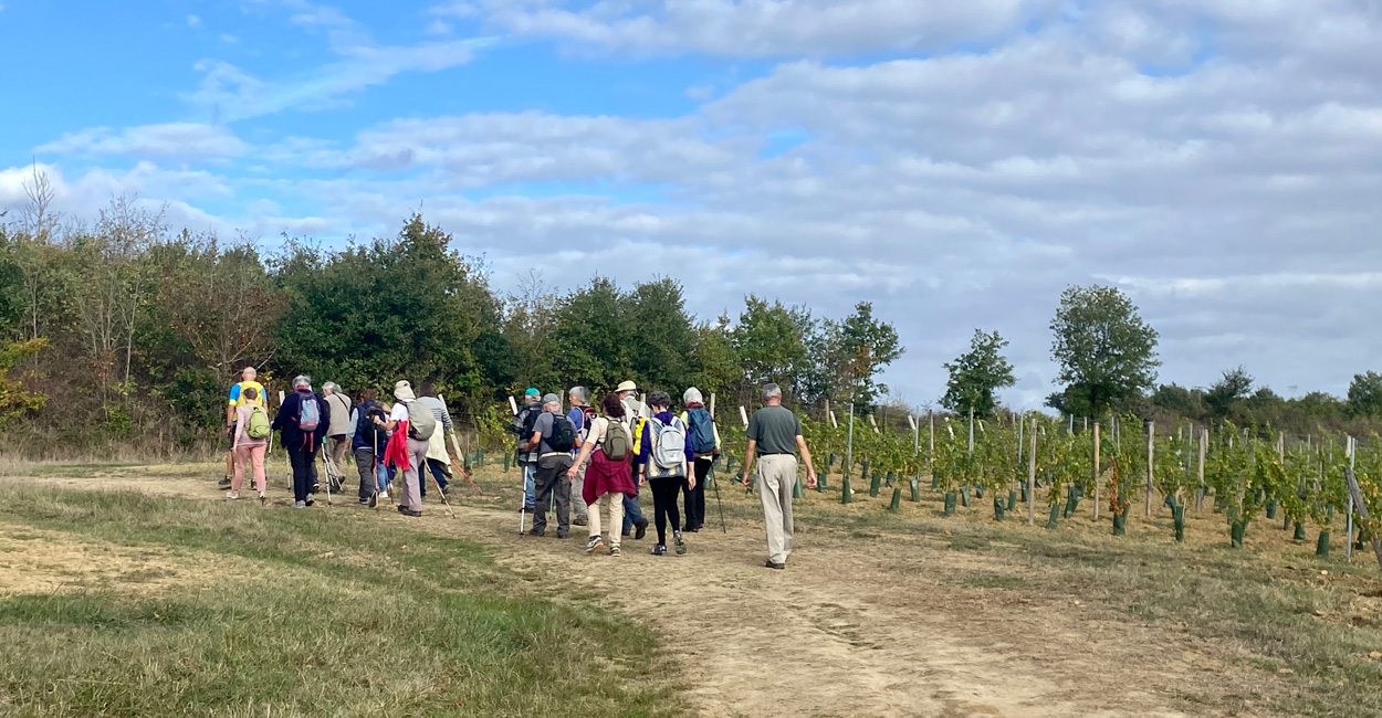 rando-sante-nov-1-retour Actu rando santé