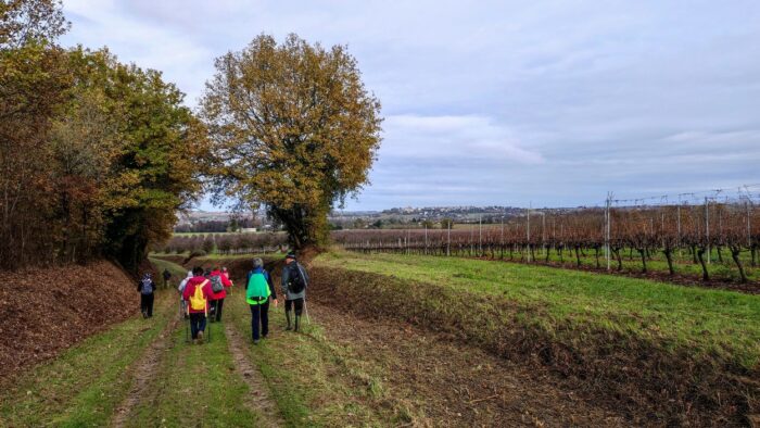 Taillecavat vue château de Duras