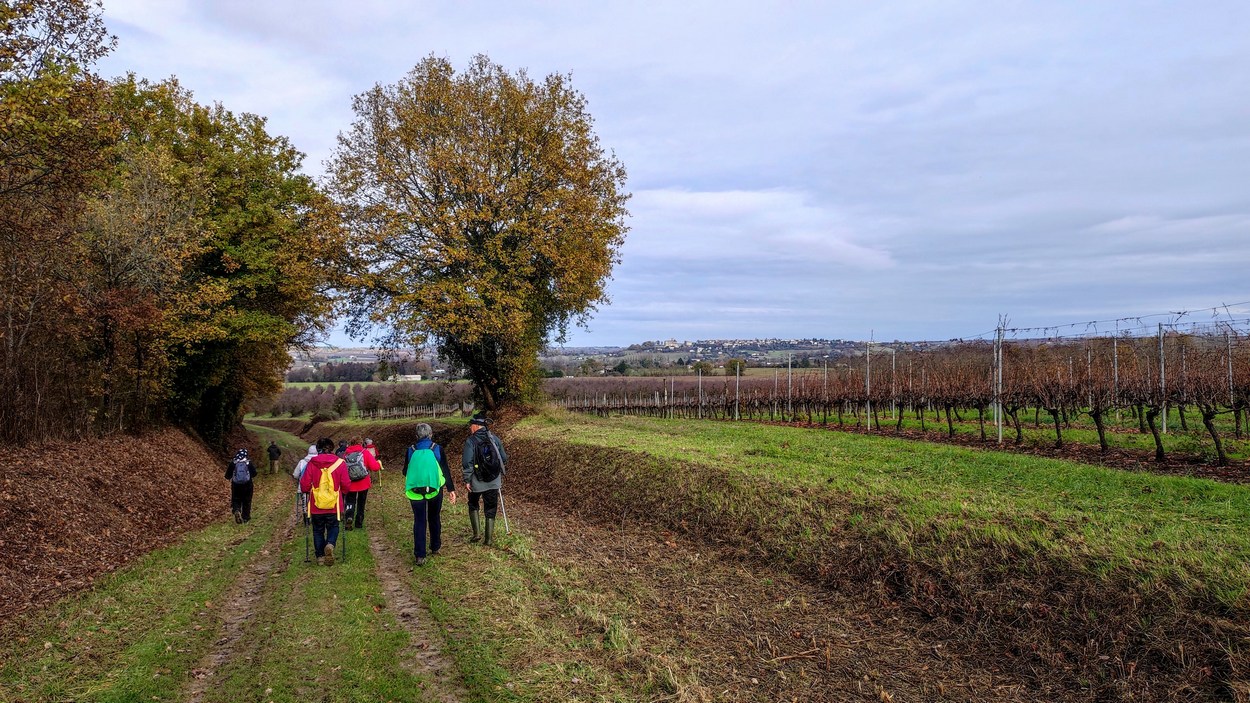 Taillecavat vue château de Duras