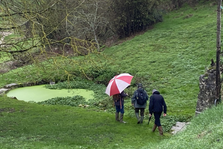 etang-rando-dimanche-soumensac actu rando dimanche