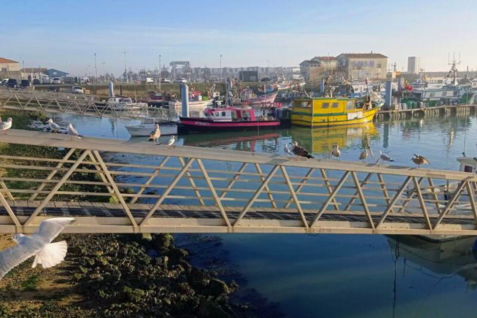 Séjours île d'Oléron