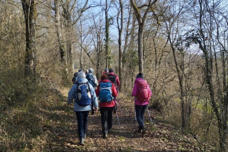 Lavergne forêt Lavergne forêt