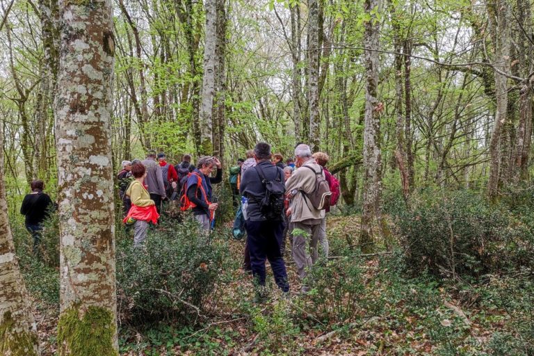 Neuffons sur la motte féodale de Pillo Neuffons sur la motte féodale de Pillo