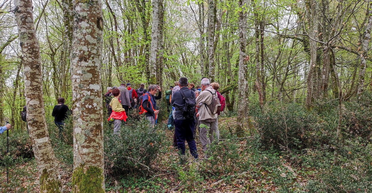 Neuffons sur la motte féodale de Pillo