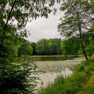 Caumont le lac