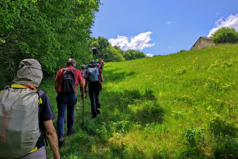 Roquebrune jeudi montée dans le pré