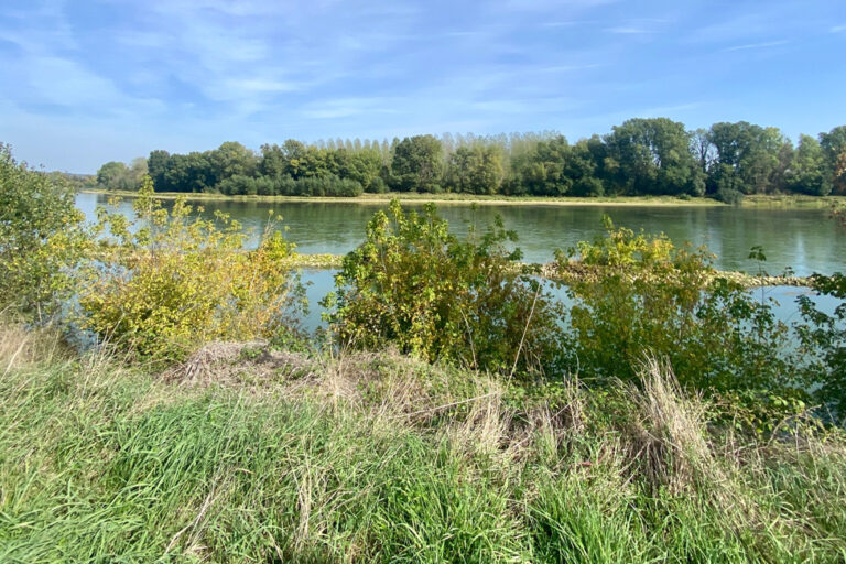 la-garonne-Lamothe-landeron-12-10-23