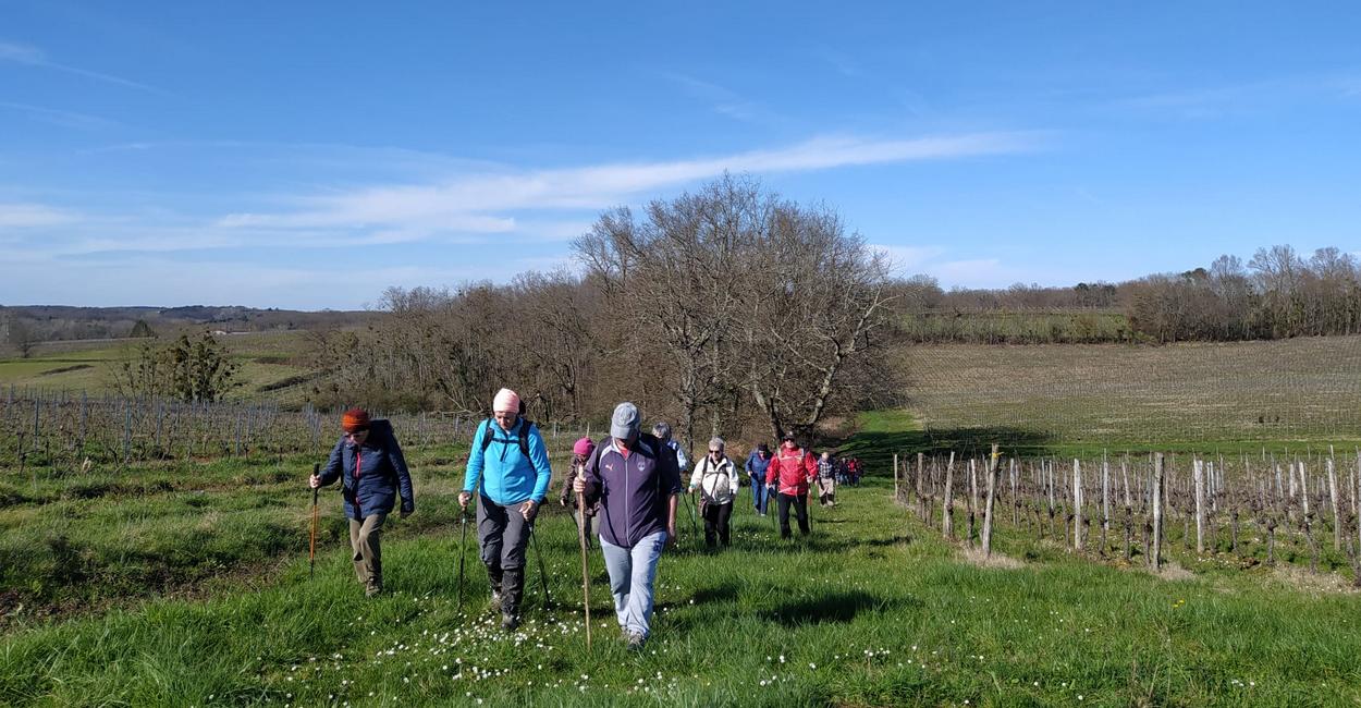 St Exupery paquerettes St Exupery