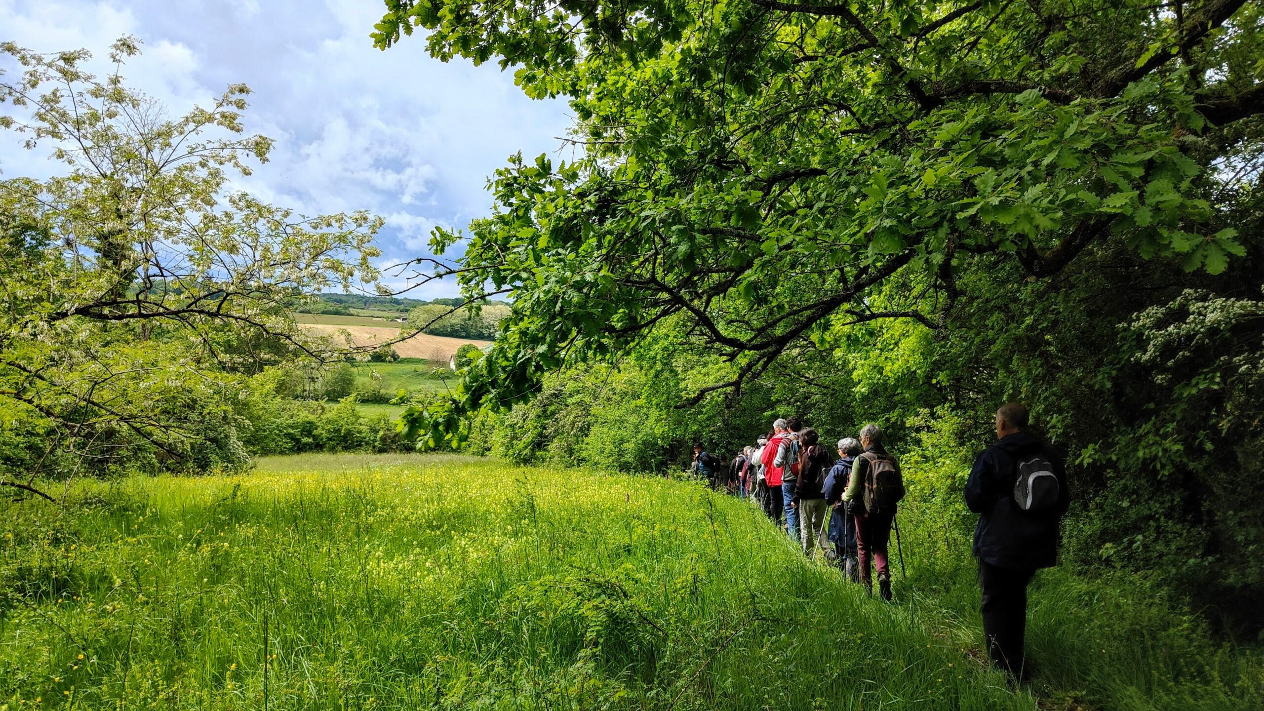 Passage en bord de prairie