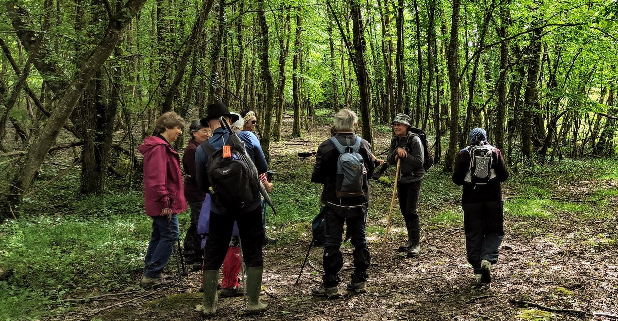 Caudrot animateur Caudrot animateur