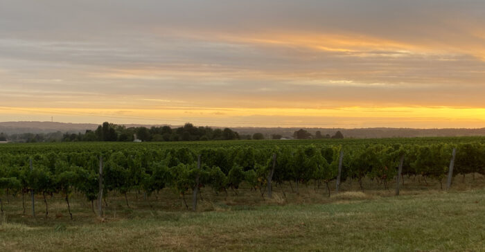 Actu Balade à la fraîche