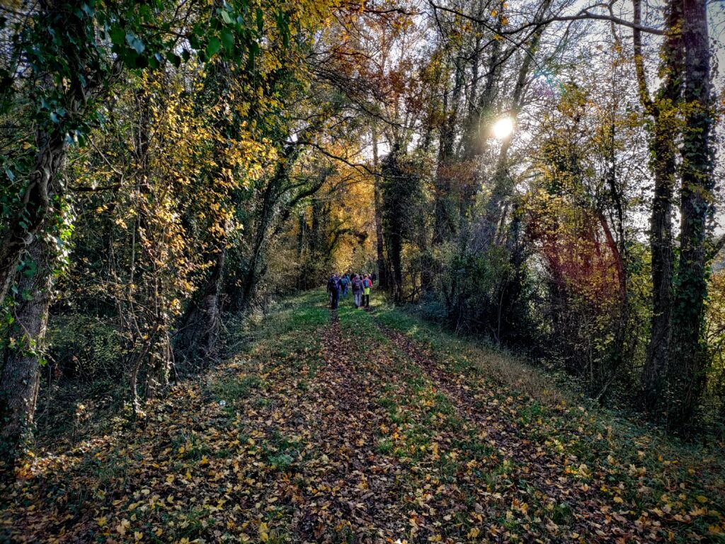 Dans le chemin creux