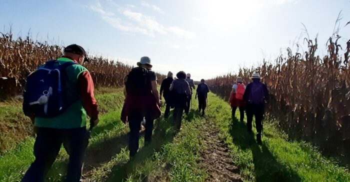 Loupiac de La Réole RS 29_11