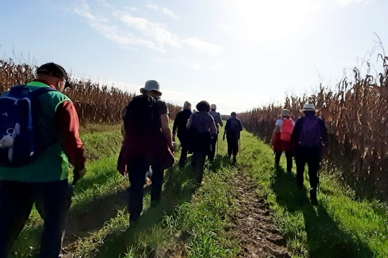 Loupiac de La Réole RS 29_11