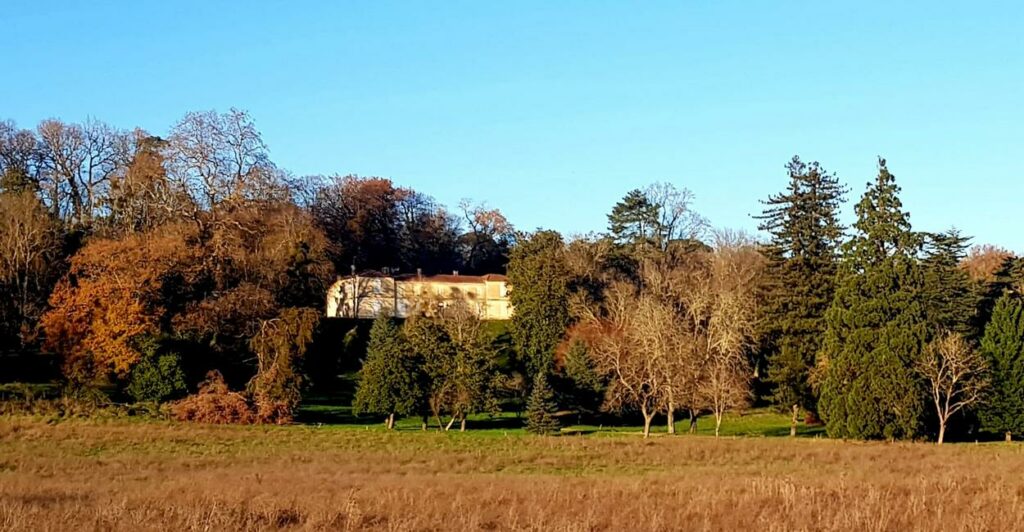 Casseuil 16_01_25 château