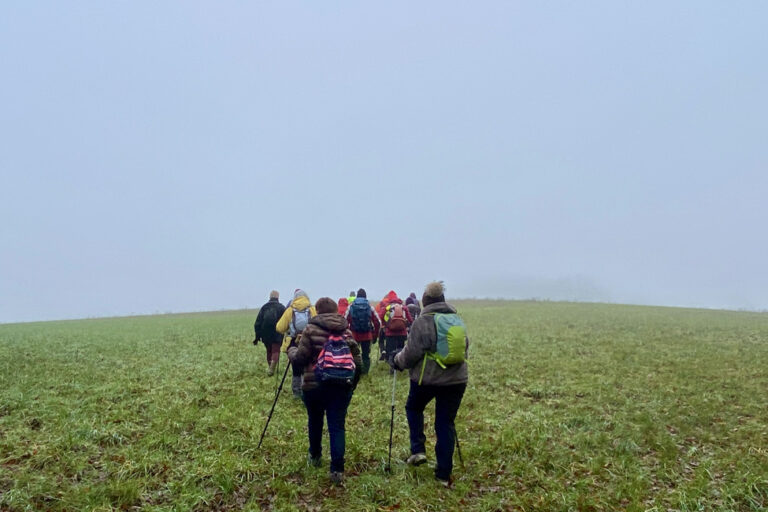 dans-le-brouillard