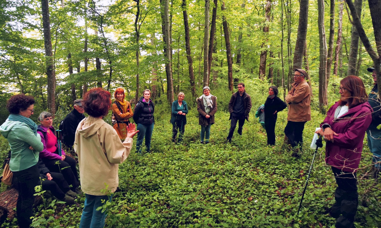 Voca-Lisent en forêt