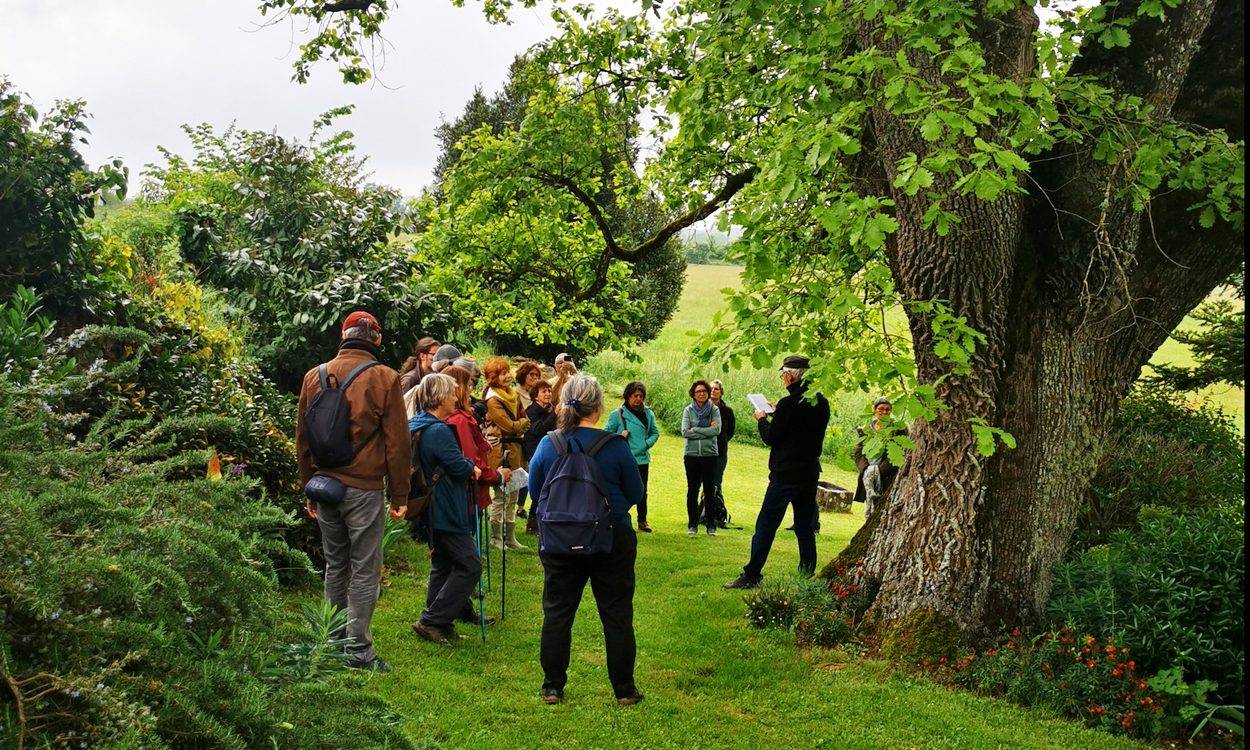 Voca-Lisent sous le chêne